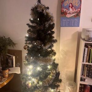 Green and Silver Holiday String Lights